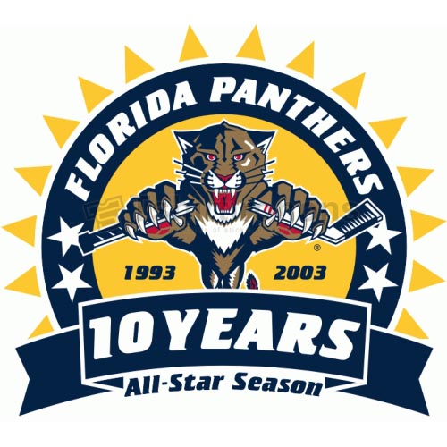 Florida Panthers T-shirts Iron On Transfers N165 - Click Image to Close